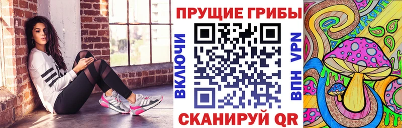 Галлюциногенные грибы ЛСД сайты даркнета как зайти Приволжск хочу наркоту
